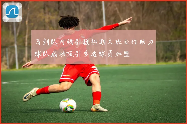 马刺队内线引援热潮文班合作助力球队成功吸引多名球员加盟